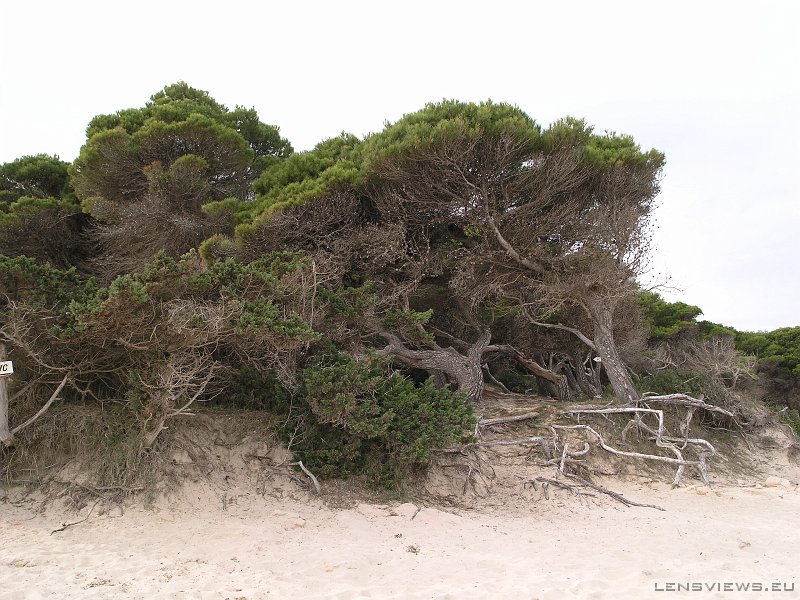 2006_11_21 13_59_10 OLYMPUS DIGITAL CAMERA         